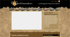 Desktop Screenshot of panculturalassociates.com